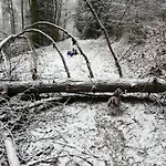 Alte Schuere * Elpe