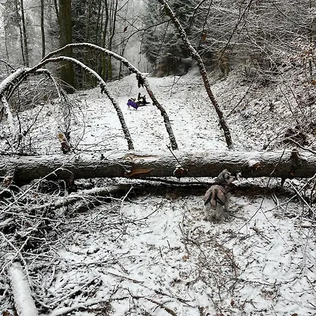 Alte Schuere * Elpe