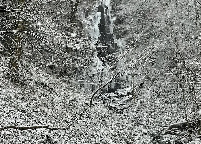 Alte Schuere Дом отдыха Elpe